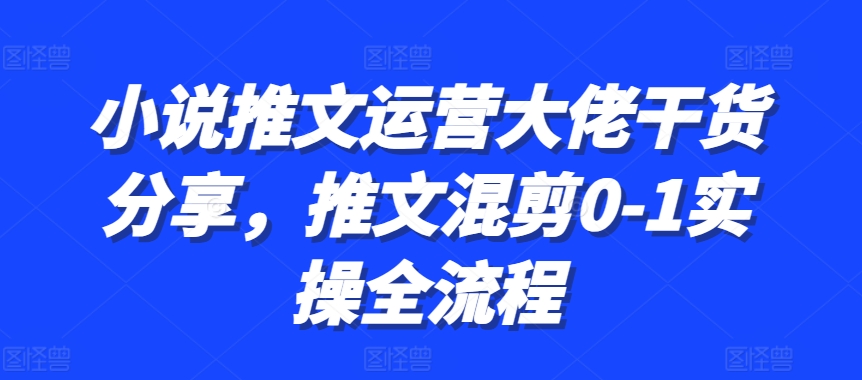 小说推文运营大佬干货分享，推文混剪0-1实操全流程网赚项目-副业赚钱-互联网创业-资源整合八方网创
