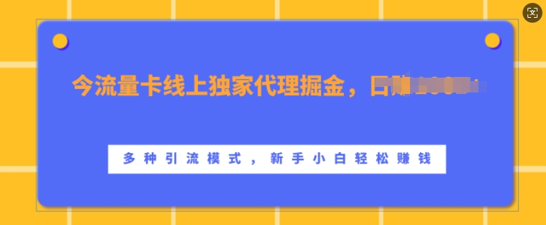 流量卡线上独家代理掘金，日入1k+ ，多种引流模式，新手小白轻松上手网赚项目-副业赚钱-互联网创业-资源整合八方网创