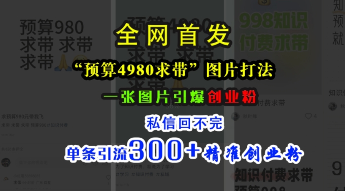 小红书“预算4980带我飞”图片打法，一张图片引爆创业粉，私信回不完，单条引流300+精准创业粉网赚项目-副业赚钱-互联网创业-资源整合八方网创