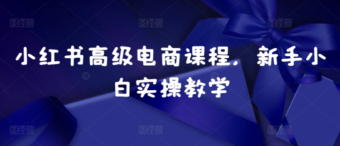 小红书高级电商课程，新手小白实操教学网赚项目-副业赚钱-互联网创业-资源整合八方网创