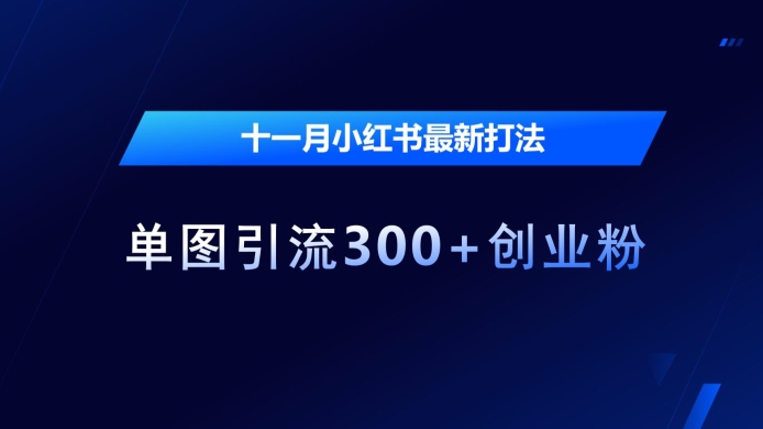 十一月小红书最新打法，单图引流300+创业粉网赚项目-副业赚钱-互联网创业-资源整合八方网创