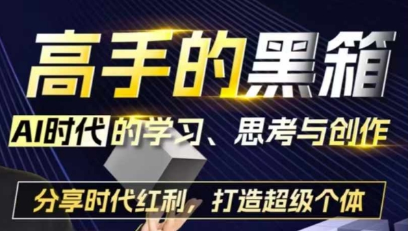 高手的黑箱：AI时代学习、思考与创作-分红时代红利，打造超级个体网赚项目-副业赚钱-互联网创业-资源整合八方网创