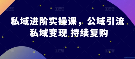私域进阶实操课，公域引流 私域变现 持续复购网赚项目-副业赚钱-互联网创业-资源整合八方网创