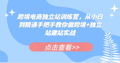 跨境电商独立站训练营，从小白到精通手把手教你做跨境+独立站建站实战网赚项目-副业赚钱-互联网创业-资源整合八方网创