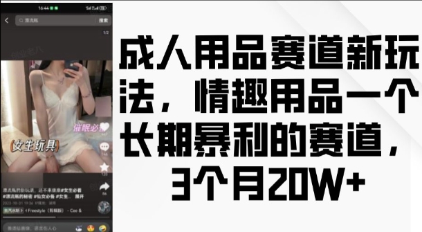 成人用品赛道新玩法，情趣用品一个长期暴利的赛道，3个月收益20个网赚项目-副业赚钱-互联网创业-资源整合八方网创