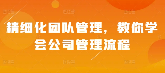 精细化团队管理，教你学会公司管理流程网赚项目-副业赚钱-互联网创业-资源整合八方网创
