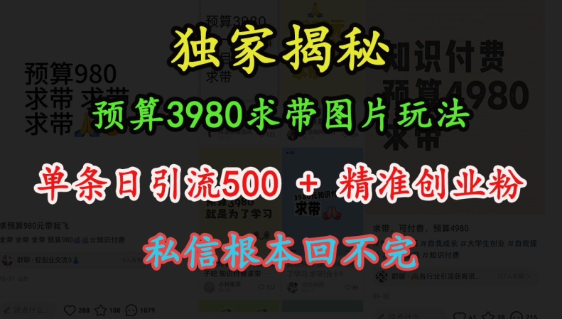 预算3980求带 图片玩法，单条日引流500+精准创业粉，私信根本回不完网赚项目-副业赚钱-互联网创业-资源整合八方网创