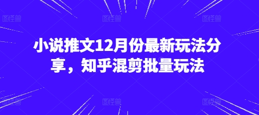 小说推文12月份最新玩法分享，知乎混剪批量玩法网赚项目-副业赚钱-互联网创业-资源整合八方网创