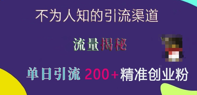 不为人知的引流渠道，流量揭秘，实测单日引流200+精准创业粉网赚项目-副业赚钱-互联网创业-资源整合八方网创