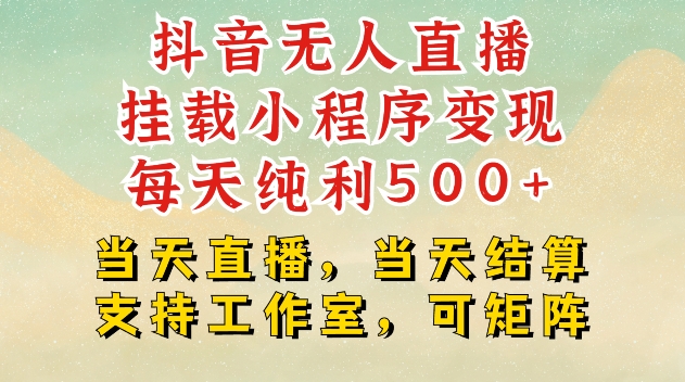 抖音无人直播挂载小程序变现每天纯利500+当天直播，当天结算支持工作室，可矩阵网赚项目-副业赚钱-互联网创业-资源整合八方网创