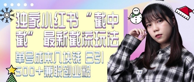 最新小红书截流玩法 独家截中截 单号成本几块钱 日引500+CY粉JZ粉网赚项目-副业赚钱-互联网创业-资源整合八方网创