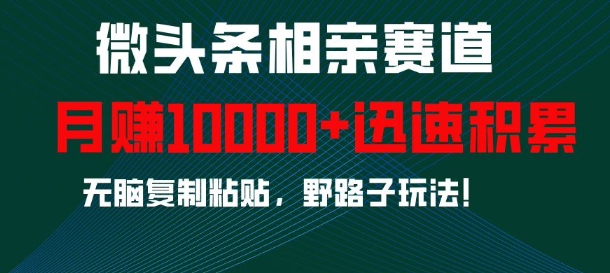 微头条相亲赛道，迅速积累，无脑复制粘贴，野路子玩法，月入1w网赚项目-副业赚钱-互联网创业-资源整合八方网创