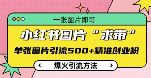 小红书图片‘求带’爆火引流法，单张图片引流500+精准创业粉网赚项目-副业赚钱-互联网创业-资源整合八方网创