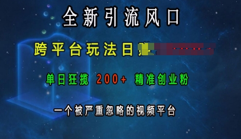 全新引流风口，跨平台玩法日入上k，单日狂揽200+精准创业粉，一个被严重忽略的视频平台网赚项目-副业赚钱-互联网创业-资源整合八方网创