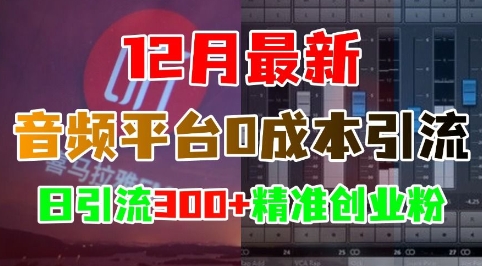 12月最新：音频平台0成本引流，日引流300+精准创业粉网赚项目-副业赚钱-互联网创业-资源整合八方网创