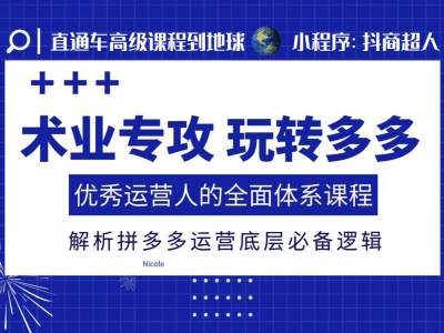 术业专攻玩转多多，优秀运营人的全面体系课程，解析拼多多运营底层必备逻辑网赚项目-副业赚钱-互联网创业-资源整合八方网创