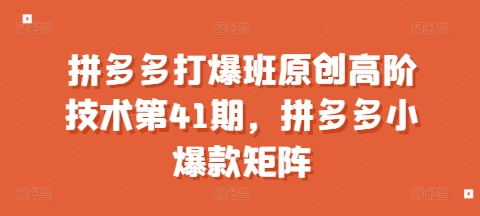 拼多多打爆班原创高阶技术第41期，拼多多小爆款矩阵网赚项目-副业赚钱-互联网创业-资源整合八方网创