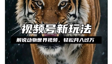 利用动物世界解说视频，赚分成计划收益，轻松月入过W，操作简单网赚项目-副业赚钱-互联网创业-资源整合八方网创