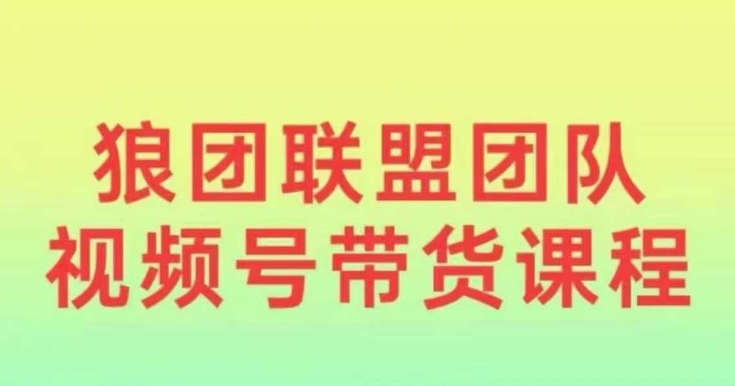 狼团联盟2024视频号带货，0基础小白快速入局视频号网赚项目-副业赚钱-互联网创业-资源整合八方网创