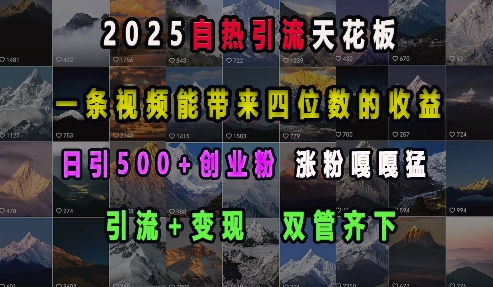 2025自热引流天花板，一条视频能带来四位数的收益，引流+变现双管齐下，日引500+创业粉，涨粉嘎嘎猛网赚项目-副业赚钱-互联网创业-资源整合八方网创