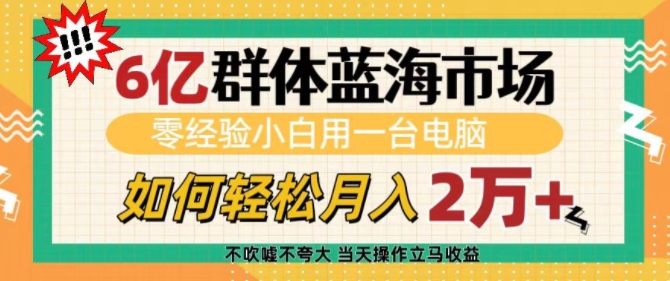 6亿群体蓝海市场，零经验小白用一台电脑，如何轻松月入过w网赚项目-副业赚钱-互联网创业-资源整合八方网创