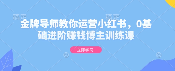 金牌导师教你运营小红书，0基础进阶赚钱博主训练课网赚项目-副业赚钱-互联网创业-资源整合八方网创