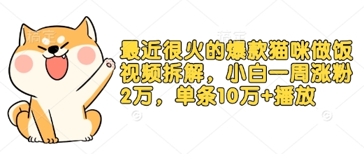 最近很火的爆款猫咪做饭视频拆解，小白一周涨粉2万，单条10万+播放(附保姆级教程)网赚项目-副业赚钱-互联网创业-资源整合八方网创