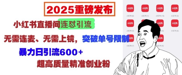2025重磅发布：小红书直播间连怼引流，无需连麦、无需上镜，突破单号限制，暴力日引流600+网赚项目-副业赚钱-互联网创业-资源整合八方网创