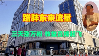 蹭胖东来流量，三天涨万粉，收益直接起飞网赚项目-副业赚钱-互联网创业-资源整合八方网创