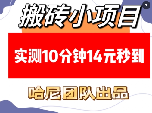 搬砖小项目，实测10分钟14元秒到，每天稳定几张(赠送必看稳定)网赚项目-副业赚钱-互联网创业-资源整合八方网创