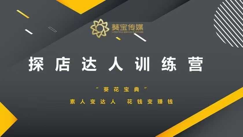 探店达人训练营，素人变达人，花钱变赚钱网赚项目-副业赚钱-互联网创业-资源整合八方网创