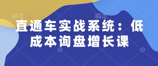 直通车实战系统：低成本询盘增长课，让个人通过技能实现升职加薪，让企业低成本获客，订单源源不断网赚项目-副业赚钱-互联网创业-资源整合八方网创