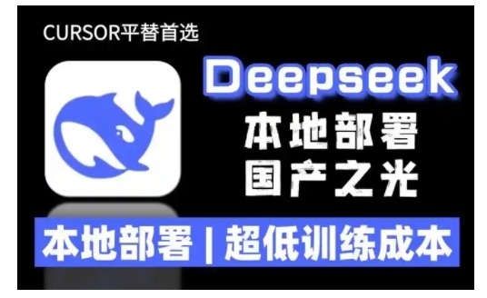 2025年deepseek R1 大型模型本地安装部署(文件+教程)本地部署，超低训练成本网赚项目-副业赚钱-互联网创业-资源整合八方网创