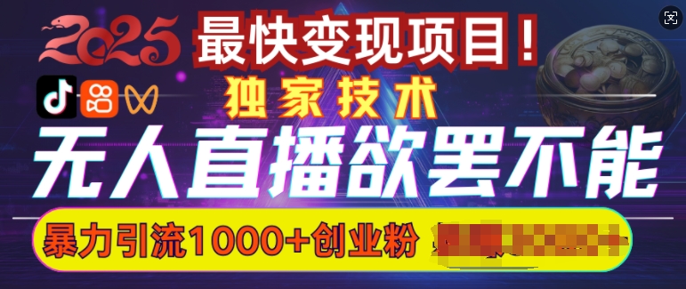 欲罢不能的无人直播引流，超暴力日引流1000+高质量精准创业粉网赚项目-副业赚钱-互联网创业-资源整合八方网创