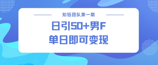 男粉引流新方法不违规，当日即可变现网赚项目-副业赚钱-互联网创业-资源整合八方网创