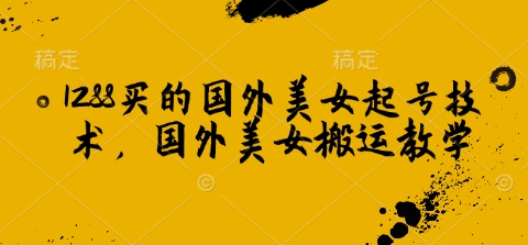 1288买的国外美女起号技术，国外美女搬运教学网赚项目-副业赚钱-互联网创业-资源整合八方网创
