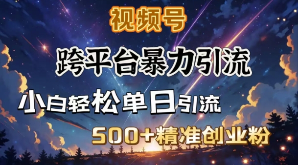 跨平台暴力引流，私域完美闭环，日引500+精准创业粉网赚项目-副业赚钱-互联网创业-资源整合八方网创
