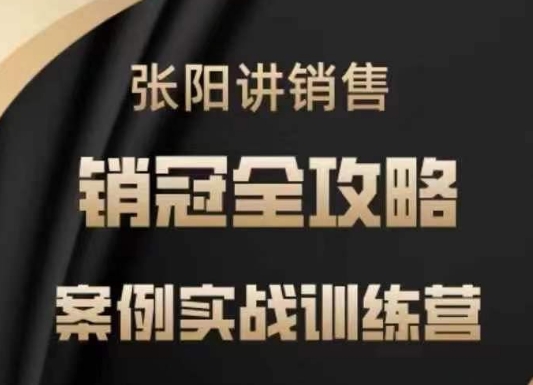 张阳讲销售实战训练营，​案例实战训练，销冠全攻略网赚项目-副业赚钱-互联网创业-资源整合八方网创