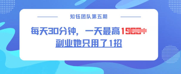 副业她只用了1招，每天30分钟，无脑二创，一天最高1.5k网赚项目-副业赚钱-互联网创业-资源整合八方网创