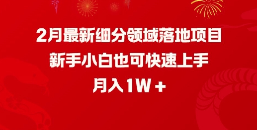 2月最新细分领域落地项目，新手小白也可快速上手，月入1W网赚项目-副业赚钱-互联网创业-资源整合八方网创