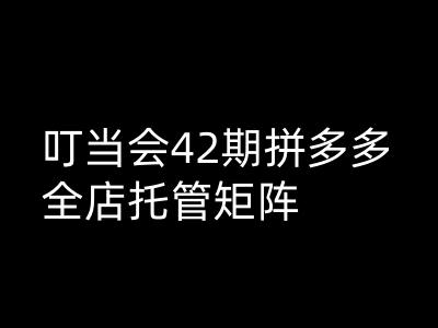叮当会拼多多打爆班原创高阶技术第42期，拼多多全店托管矩阵网赚项目-副业赚钱-互联网创业-资源整合八方网创