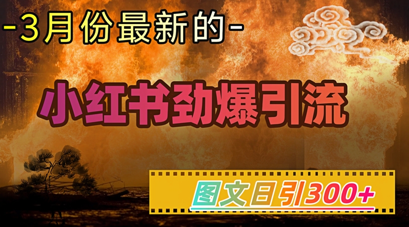 小红书超劲爆引流手段，图文日引300+轻松变现1W网赚项目-副业赚钱-互联网创业-资源整合八方网创