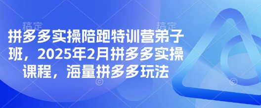 拼多多实操陪跑特训营弟子班，2025年2月拼多多实操课程，海量拼多多玩法网赚项目-副业赚钱-互联网创业-资源整合八方网创