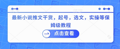 最新小说推文干货，起号，选文，实操等保姆级教程网赚项目-副业赚钱-互联网创业-资源整合八方网创