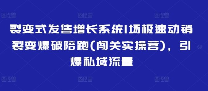 裂变式发售增长系统1场极速动销裂变爆破陪跑(闯关实操营)，引爆私域流量网赚项目-副业赚钱-互联网创业-资源整合八方网创