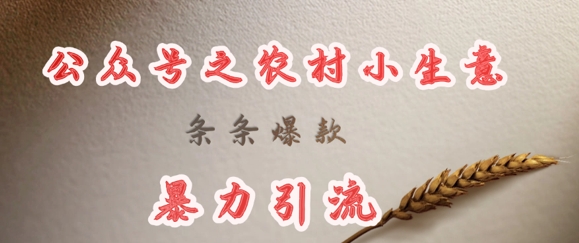 deepseek写农村小项目，条条爆款，暴力引流网赚项目-副业赚钱-互联网创业-资源整合八方网创