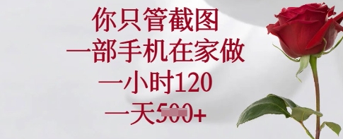 你只管截图，一部手机在家做，一小时120.一天5张网赚项目-副业赚钱-互联网创业-资源整合八方网创
