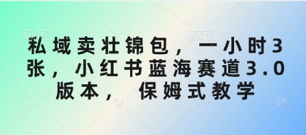 私域卖壮锦包，一小时3张，小红书蓝海赛道3.0版本， 保姆式教学网赚项目-副业赚钱-互联网创业-资源整合八方网创