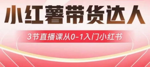 小红薯达人带货启航计划，3节直播课从0-1入门小红书网赚项目-副业赚钱-互联网创业-资源整合八方网创