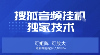 【搜狐音频挂G】独家技术，可矩阵可放大，红利期稳定月入8k网赚项目-副业赚钱-互联网创业-资源整合八方网创